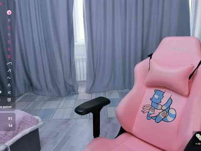 SeikoSwan webcam
