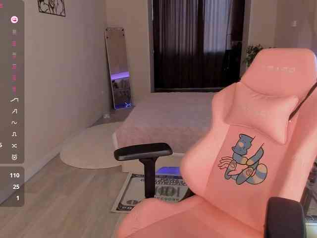 SeikoSwan webcam