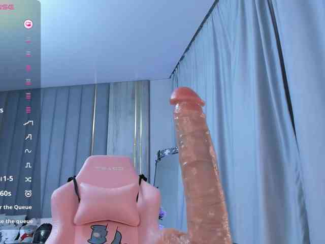 SeikoSwan webcam