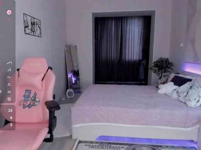 SeikoSwan webcam