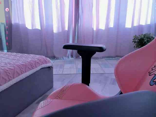 SeikoSwan webcam