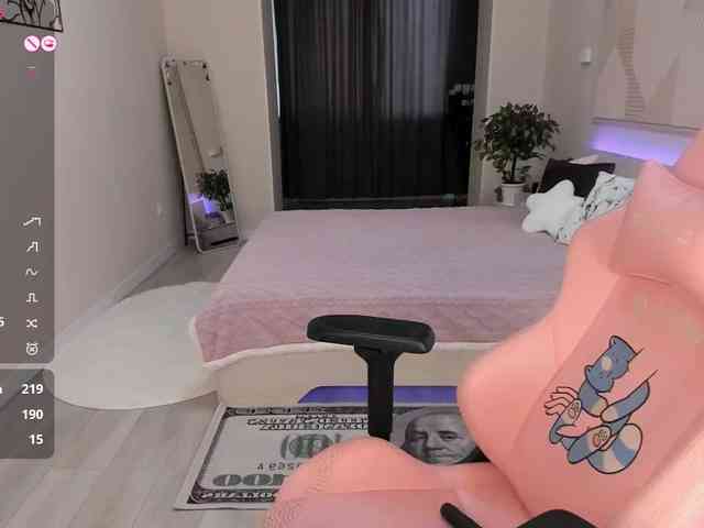 SeikoSwan webcam