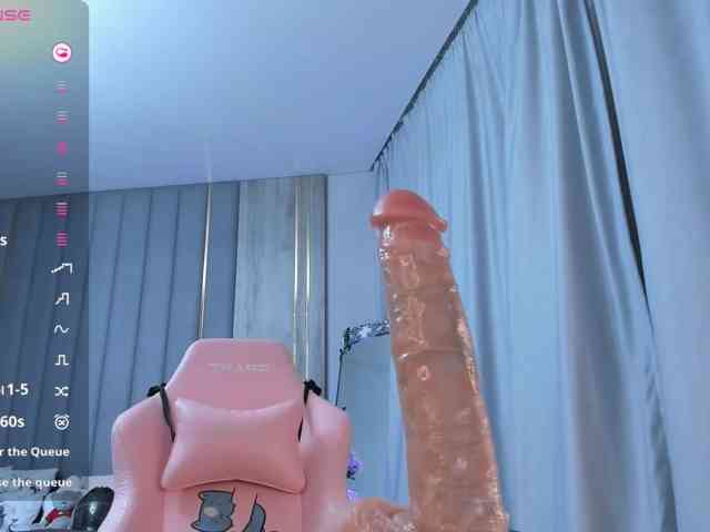 SeikoSwan webcam