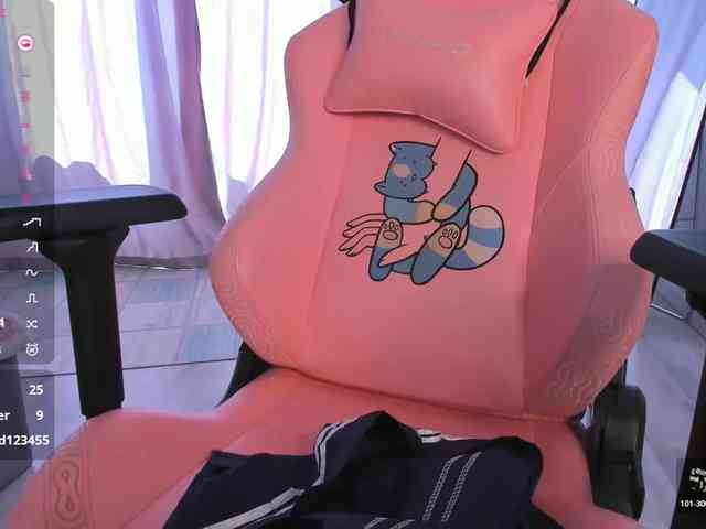 SeikoSwan webcam