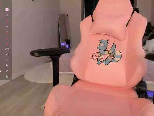 SeikoSwan webcam