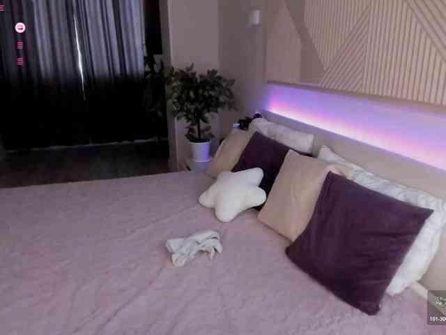 SeikoSwan webcam