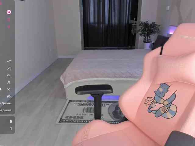 SeikoSwan webcam