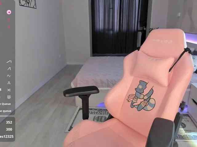 SeikoSwan webcam