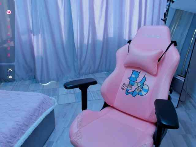 SeikoSwan webcam