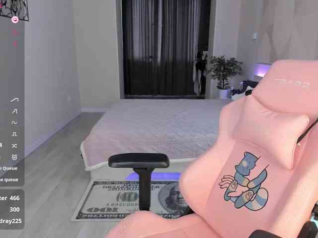 SeikoSwan webcam