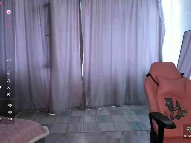 SeikoSwan webcam
