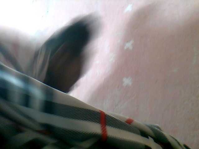 mmelodie