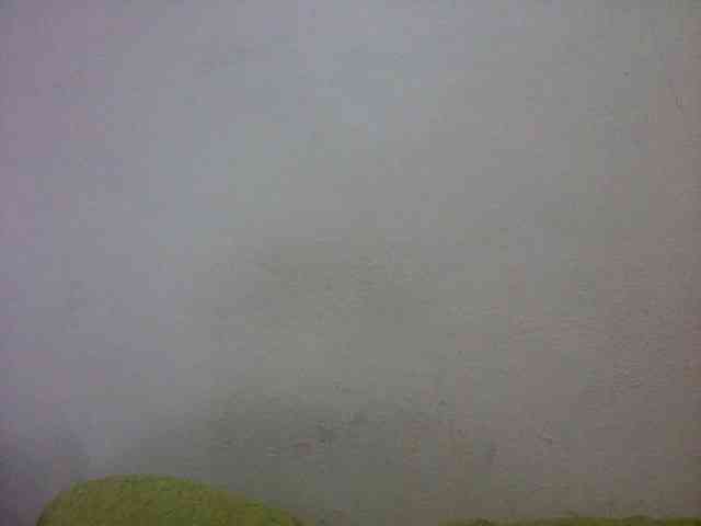mmelodie webcam