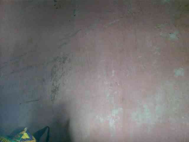mmelodie webcam