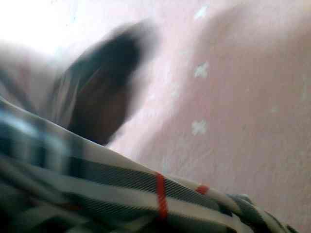 mmelodie webcam