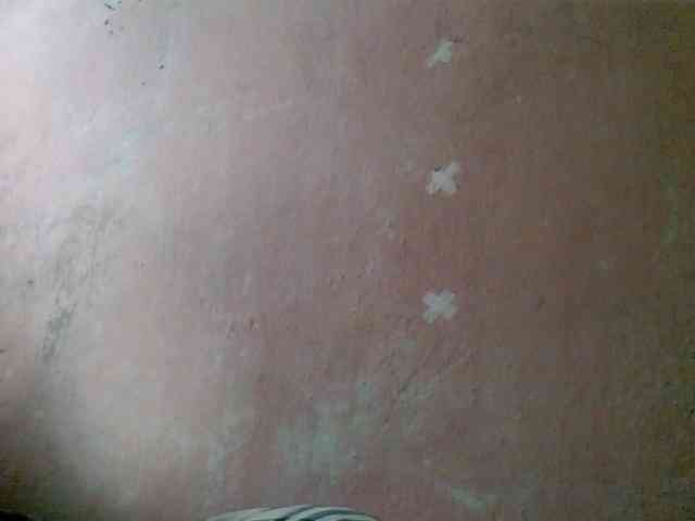 mmelodie webcam