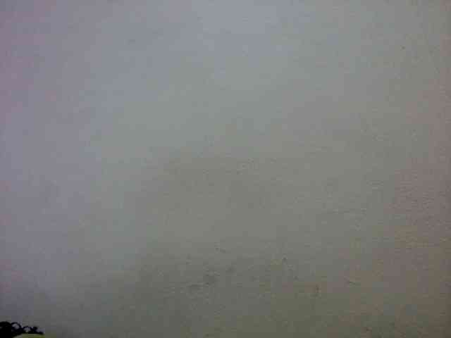 mmelodie webcam