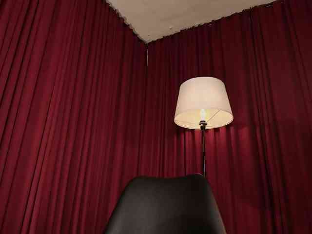 Alice-blaker webcam