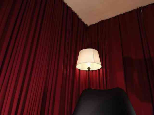 Alice-blaker webcam