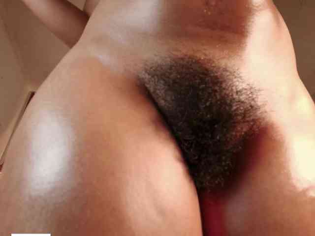 Modelo: Alice-blaker