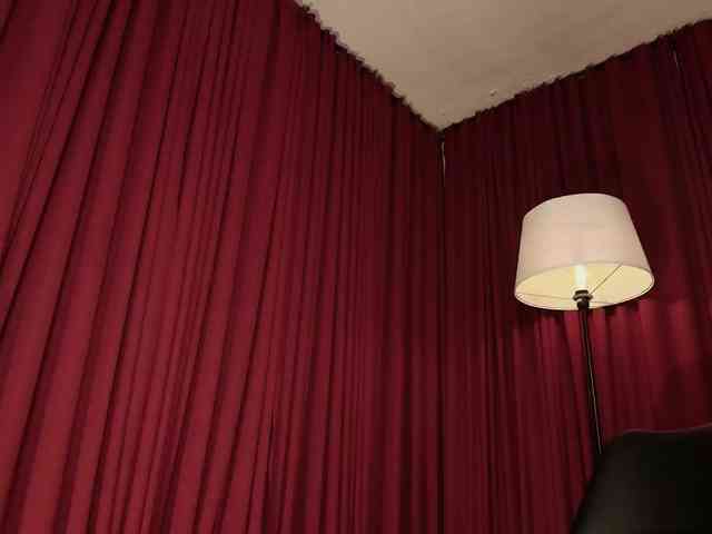 Alice-blaker webcam