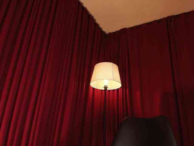 Alice-blaker webcam