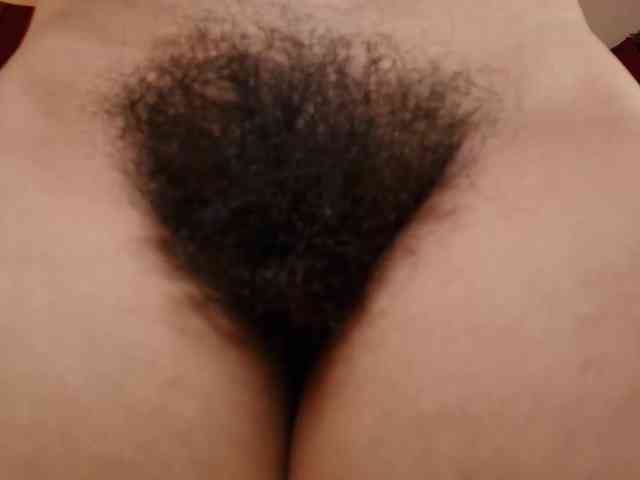 Alice-blaker webcam