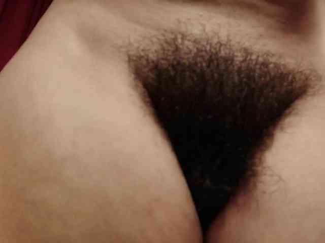 Alice-blaker webcam