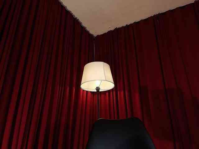 Alice-blaker webcam