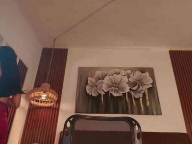 Alice-blaker webcam