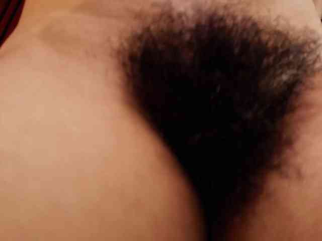 Modelo: Alice-blaker