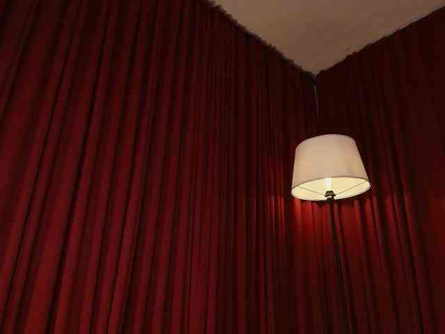 Alice-blaker webcam