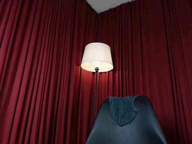 Alice-blaker webcam