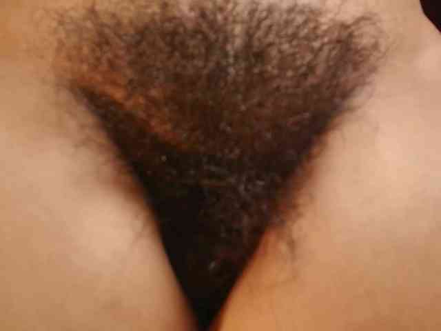 Modelo: Alice-blaker