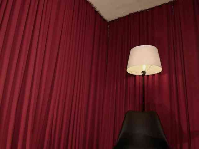 Alice-blaker webcam