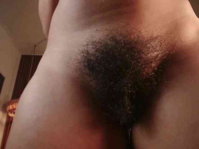 Modelo: Alice-blaker