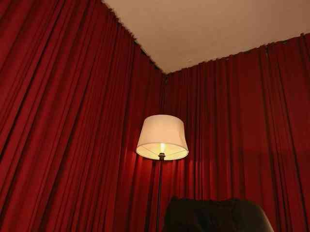 Alice-blaker webcam
