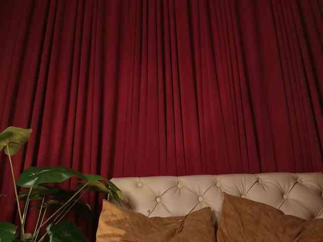 Alice-blaker webcam