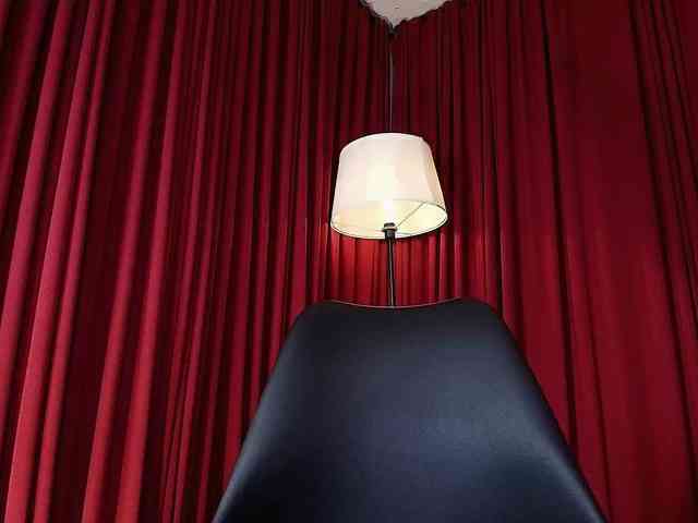 Alice-blaker webcam
