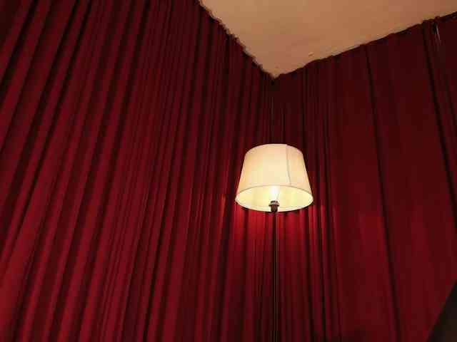 Alice-blaker webcam