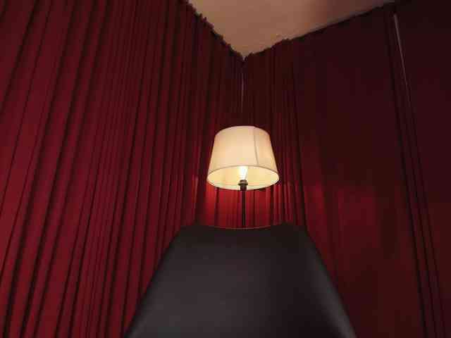 Alice-blaker webcam