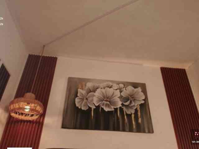 Modelo: Alice-blaker