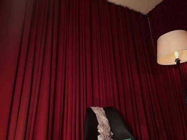 Alice-blaker webcam
