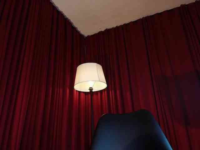 Alice-blaker webcam