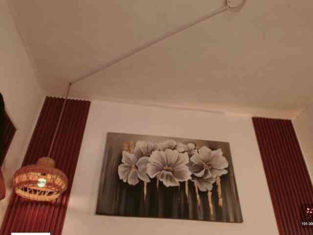 Modelo: Alice-blaker