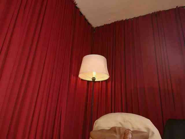 Alice-blaker webcam
