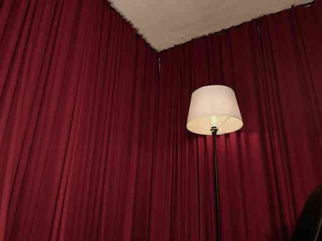 Alice-blaker webcam