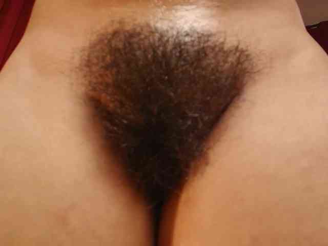 Alice-blaker webcam