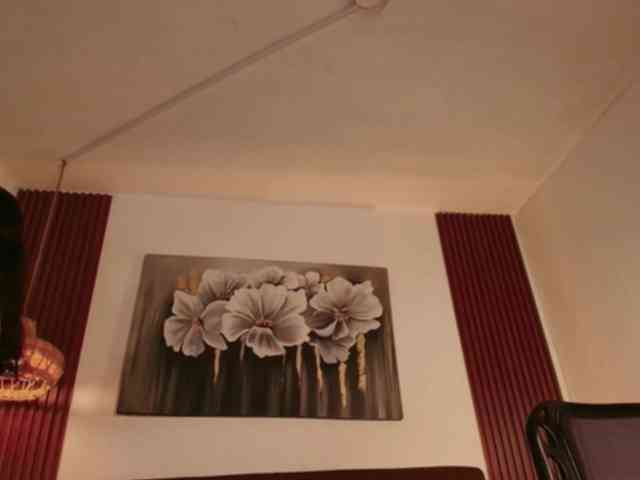 Alice-blaker webcam