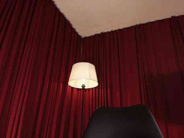 Alice-blaker webcam